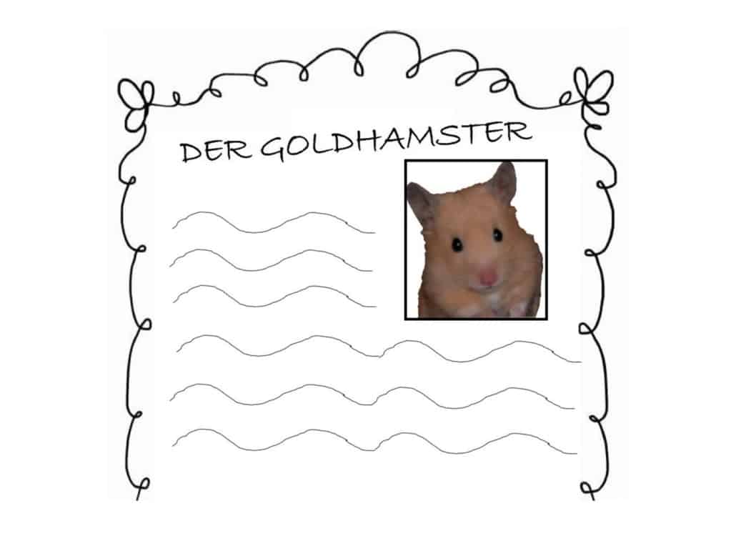 der-goldhamster
