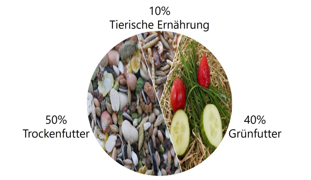 Futter-Übersicht Goldhamster