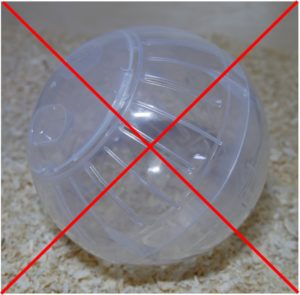Hamsterball nicht verwenden