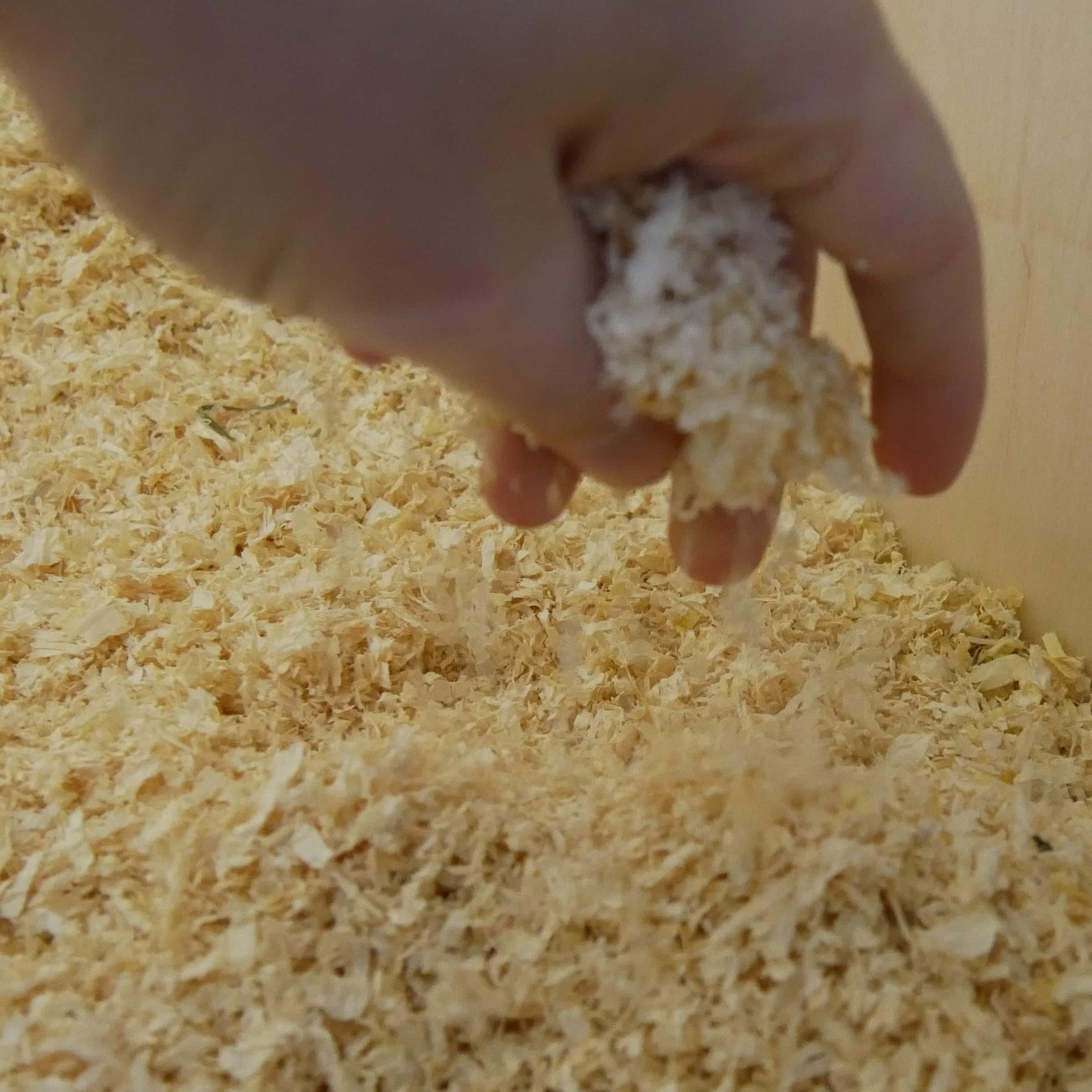 das-einstreuen-des-goldhamsterkaefigs