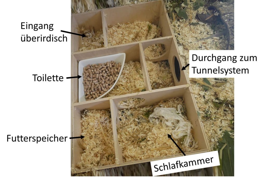 Mehrkammerhaus fuer Hamster