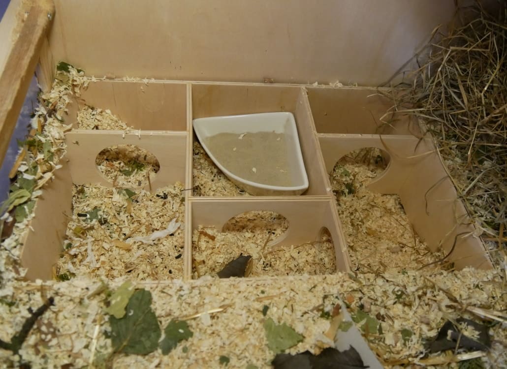 hamstertoilette-mehrkammerhaus-nahe-schlafplatz