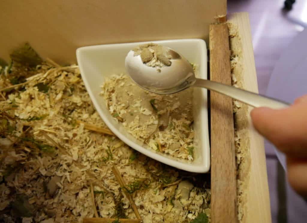hamster-toilette-saeubern-reinigen